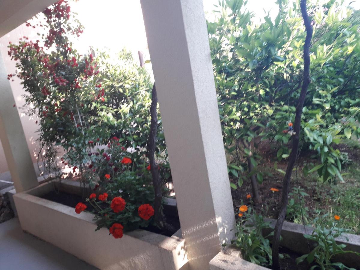 Apartments Petkovic Petrovac Екстериор снимка