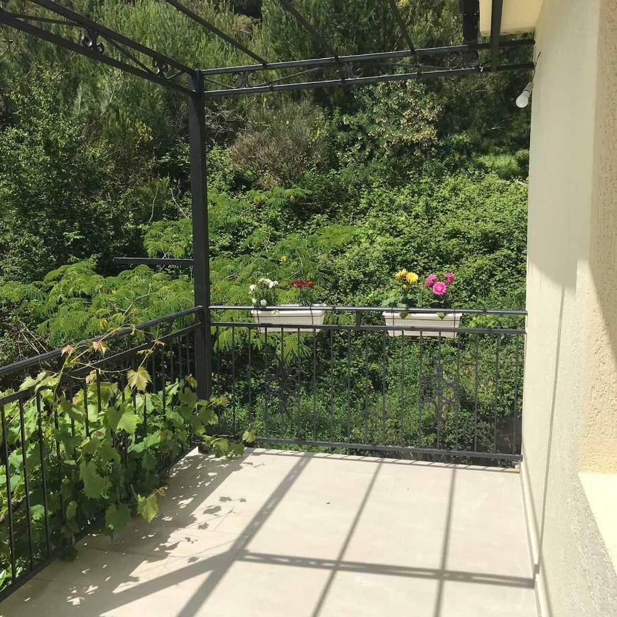 Apartments Petkovic Petrovac Екстериор снимка
