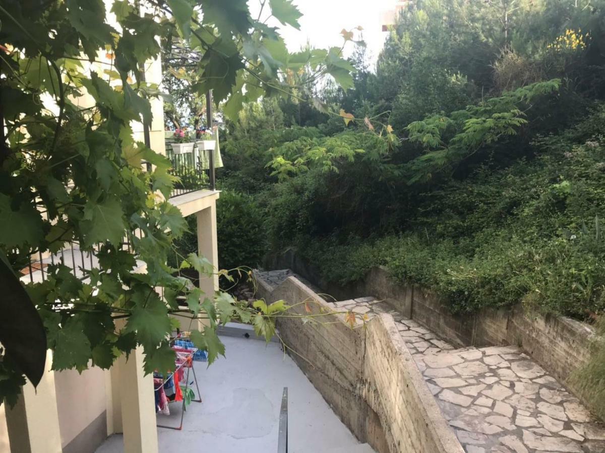 Apartments Petkovic Petrovac Екстериор снимка